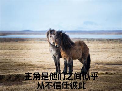 他们之间似乎从不信任彼此小说全文免费阅读(沈妙芙蒋建安)全文免费阅读无弹窗_沈妙芙蒋建安小说全文免费阅读