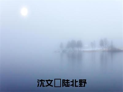 沈文珺陆北野（沈文珺陆北野）全文免费阅读无弹窗大结局_沈文珺陆北野最新章节（沈文珺陆北野）