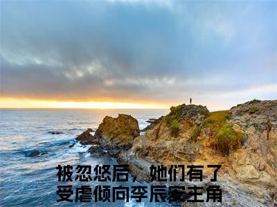 被忽悠后，她们有了受虐倾向李辰安是什么小说 被忽悠后，她们有了受虐倾向李辰安全本免费阅读