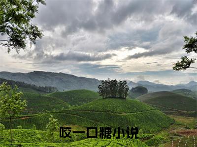（许棠沈确宴）咬一口糖小说推荐阅读-主角为咬一口糖的小说叫什么许棠沈确宴