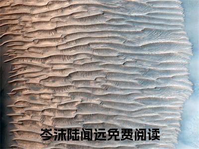 岑沫陆闻远正版小说最新章节在线阅读-小说岑沫陆闻远已完结全集大结局