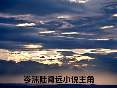 岑沫陆闻远小说大结局完整版阅读，岑沫陆闻远小说全文在线阅读