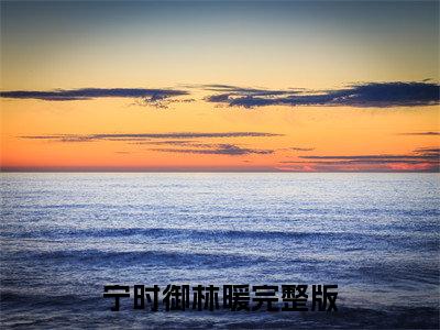 宁时御林暖小说（宁先生，宁太太又有了）全文免费阅读无弹窗大结局_（宁先生，宁太太又有了）最新章节列表（宁先生，宁太太又有了）