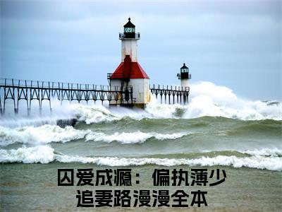 薄晏寒洛孀（囚爱成瘾：偏执薄少追妻路漫漫）精选好书-囚爱成瘾：偏执薄少追妻路漫漫无删减小说在线阅读（薄晏寒洛孀全文免费阅读）