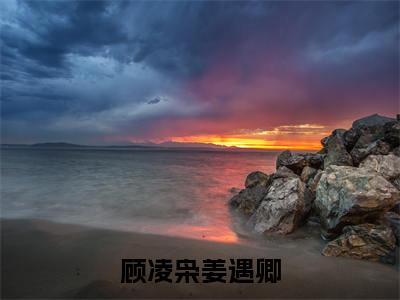 顾凌枭姜遇卿（顾凌枭姜遇卿）免费阅读全本资源-热门新书顾凌枭姜遇卿在线阅读