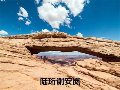 陆珩谢安岚阅读无弹窗大结局_（陆珩谢安岚阅读无弹窗）最新章节列表_笔趣阁（陆珩谢安岚）