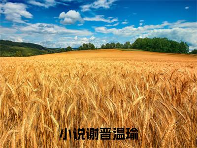 谢晋温瑜免费谢晋温瑜读无弹窗最新章节列表_笔趣阁（谢晋温瑜）
