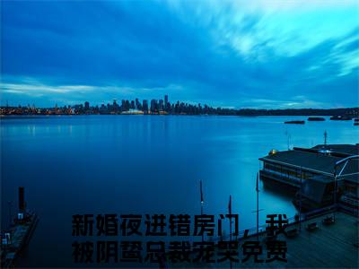 新婚夜进错房门，我被阴鸷总裁宠哭（唐黎月郁墨渊）全文免费阅读无弹窗完整版，(新婚夜进错房门，我被阴鸷总裁宠哭)免费阅读全文最新章节列表_笔趣阁
