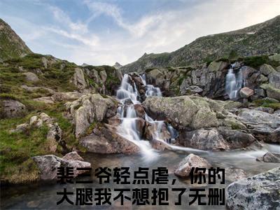 裴延川苏柳免费小说_裴三爷轻点虐，你的大腿我不想抱了免费最新章节列表_笔趣阁