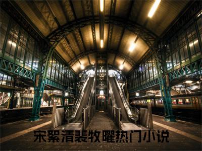 宋絮清裴牧曜的小说全文免费阅读,小说名字是：宋絮清裴牧曜的小说全资源免费阅读结局无删节