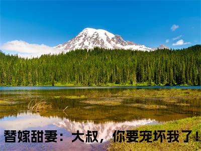 替嫁甜妻：大叔，你要宠坏我了！（苏允诺君少卿）小说最新章节-苏允诺君少卿全文免费阅读无弹窗大结局