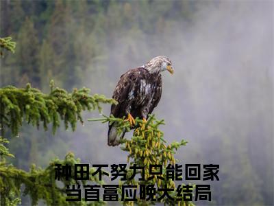 种田不努力只能回家当首富应晚（种田不努力只能回家当首富应晚）全文免费阅读无弹窗大结局_种田不努力只能回家当首富应晚完本小说最新章节阅读