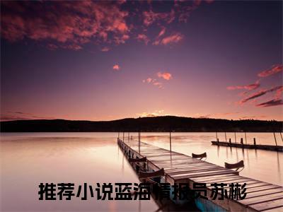 蓝海情报员苏彬小说全文免费阅读-蓝海情报员苏彬精选小说大结局阅读