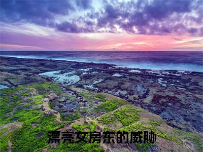 张毅曾雅小说（漂亮女房东的威胁）全文免费阅读无弹窗大结局_（张毅曾雅）漂亮女房东的威胁最新章节列表