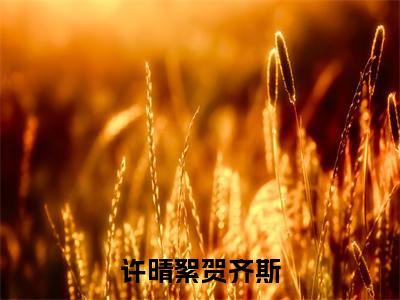 许晴絮贺齐斯小说（许晴絮贺齐斯）全文免费阅读无弹窗大结局_（许晴絮贺齐斯）许晴絮贺齐斯最新章节列表（许晴絮贺齐斯）