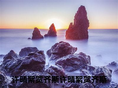 许晴絮贺齐斯(许晴絮贺齐斯)免费全文阅读小说_许晴絮贺齐斯最新章节列表-笔趣阁（许晴絮贺齐斯）