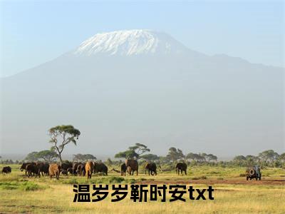 温岁岁靳时安全文免费(温岁岁靳时安)全集小说完整版大结局-温岁岁靳时安全文阅读无弹窗