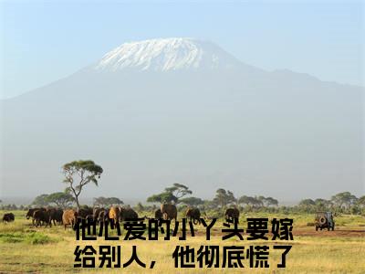 宋昭希苏奕珩小说（他心爱的小丫头要嫁给别人，他彻底慌了）全文在线阅读免费大结局_宋昭希苏奕珩小说最新章节列表_笔趣阁（他心爱的小丫头要嫁给别人，他彻底慌了）