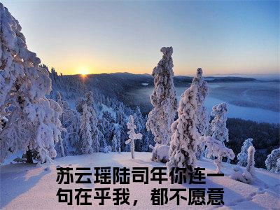苏云瑶陆司年你连一句在乎我，都不愿意说出口吗？小说免费阅读-苏云瑶陆司年抖音新书热荐