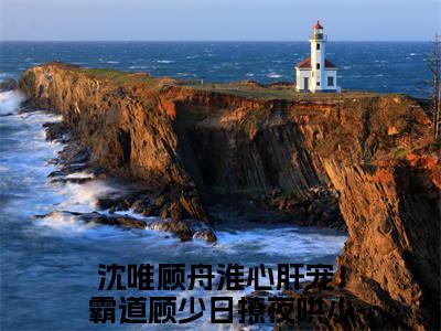 心肝宠！霸道顾少日撩夜哄小乖宝小说全文免费阅读无弹窗大结局_（心肝宠！霸道顾少日撩夜哄小乖宝全文免费阅读）沈唯顾舟淮最新章节列表笔趣阁