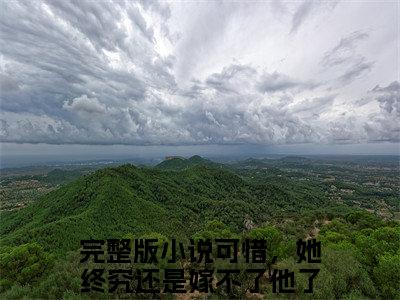 可惜，她终究还是嫁不了他了（岄乔苍澜彻）完整版小说阅读_岄乔苍澜彻全文免费阅读笔趣阁（可惜，她终究还是嫁不了他了）