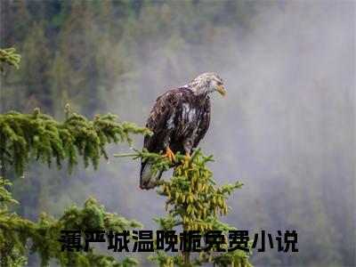 薄总别虐了，今天是夫人葬礼全文免费阅读无弹窗大结局-薄严城温晚栀全文在线阅读