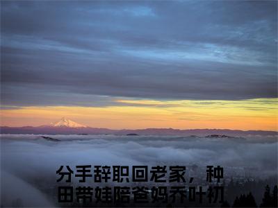 分手辞职回老家，种田带娃陪爸妈乔叶初（分手辞职回老家，种田带娃陪爸妈乔叶初）全文免费阅读无弹窗大结局_(分手辞职回老家，种田带娃陪爸妈乔叶初小说免费阅读)最新章节_笔趣阁（分手辞职回老家，种田带娃陪爸妈乔叶初）