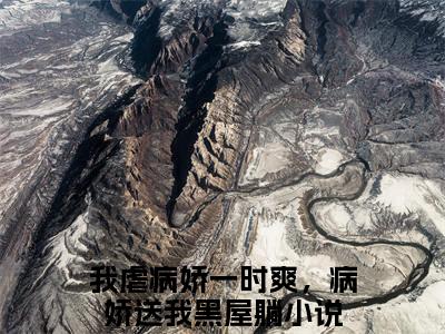 苏迎谢行渊（我虐病娇一时爽，病娇送我黑屋躺）全文小说-我虐病娇一时爽，病娇送我黑屋躺小说最新章节免费阅读