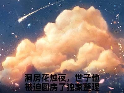 凌少景千酒酒（洞房花烛夜，世子他被迫圆房了）全文免费阅读无弹窗大结局_（洞房花烛夜，世子他被迫圆房了）洞房花烛夜，世子他被迫圆房了最新章节列表