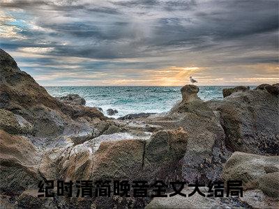 纪时清简晚音（处处瘾）无弹窗小说免费阅读_纪时清简晚音最新章节免费阅读_笔趣阁