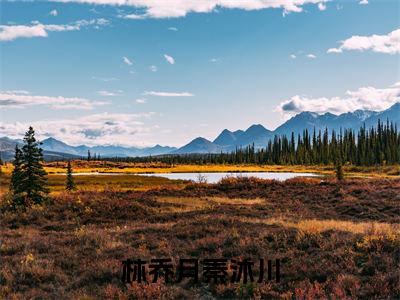 林乔月秦沐川免费小说-林乔月秦沐川已更新最新章节