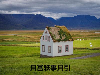 月宫轶事月引小说全文（月宫轶事月引）-月宫轶事月引免费阅读目录
