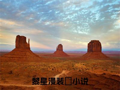 若有来生，她不愿再遇到他了（黎星漫裴暻）全文免费阅读无弹窗大结局_黎星漫裴暻全文在线阅读