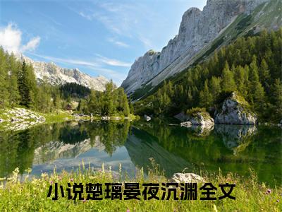 【新书】《楚璃晏夜沉渊》全文免费阅读无弹窗大结局-楚璃晏夜沉渊全文全章节免费阅读