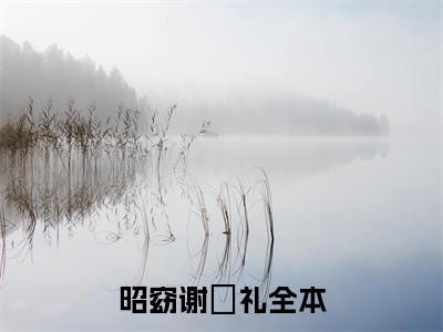 快手热推免费新书昭窈谢珣礼小说全文完整版-昭窈谢珣礼完整版全文在线赏析