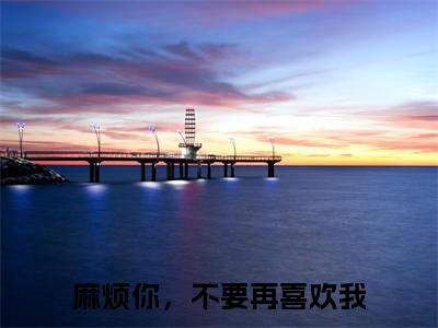 宋晚笙江流风傅叙言（麻烦你，不要再喜欢我全文在线阅读）-宋晚笙江流风傅叙言小说(麻烦你，不要再喜欢我)免费阅读最新章节列表无弹窗
