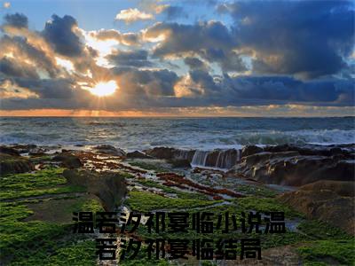 温若汐祁宴临抖音新书热荐小说（温若汐祁宴临小说免费阅读）主角是（温若汐祁宴临）全文完整版免费阅读最新章节列表_笔趣阁
