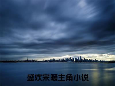 盛欢宋暖热门小说 全文免费阅读无弹窗大结局-盛欢宋暖全文无弹窗免费阅读大结局