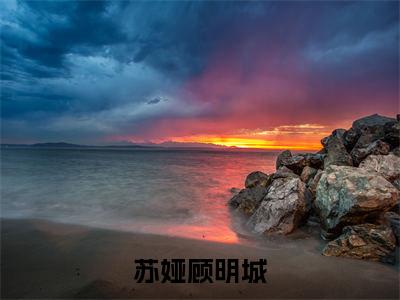 苏娅顾明城（苏娅顾明城）全文免费阅读大结局_ (苏娅顾明城)苏娅顾明城最新章节列表_笔趣阁（苏娅顾明城）