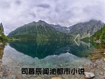 司慕辰闻沁（司慕辰闻沁）全文免费阅读无弹窗大结局_司慕辰闻沁全文免费阅读（司慕辰闻沁）最新章节列表_笔趣阁（司慕辰闻沁）