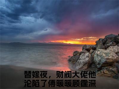 替嫁夜，财阀大佬他沦陷了（傅暖暖顾霆深）全文免费阅读无弹窗大结局_替嫁夜，财阀大佬他沦陷了全文免费完结版阅读（傅暖暖顾霆深）