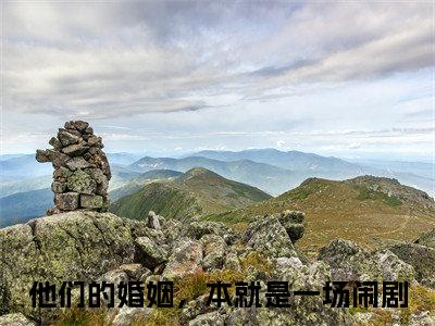 楚青芷韩夜霖全文（他们的婚姻，本就是一场闹剧）全文免费阅读无弹窗大结局_（他们的婚姻，本就是一场闹剧）楚青芷韩夜霖最新章节列表