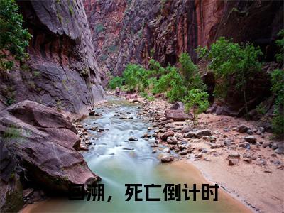 江夏(回溯，死亡倒计时)小说全文免费阅读完整版-江夏免费在线阅读大结局（回溯，死亡倒计时）