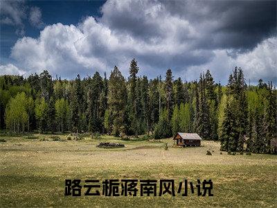 主角为路云栀蒋南风的小说叫什么-最新小说全文阅读