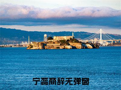 宁蕊商辞阅读无弹窗大结局_（宁蕊商辞阅读无弹窗）最新章节列表_笔趣阁（宁蕊商辞）