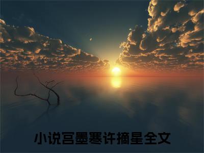 生娃这天，渣爹跟着白月光跑了（宫墨寒许摘星）全文免费读无弹窗大结局_生娃这天，渣爹跟着白月光跑了免费生娃这天，渣爹跟着白月光跑了读无弹窗最新章节列表_笔趣阁
