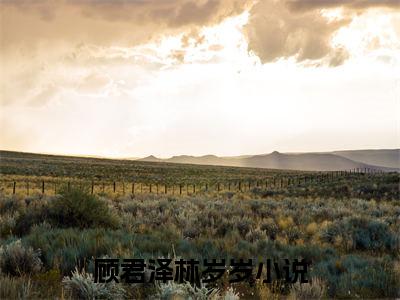 顾君泽林岁岁（顾君泽林岁岁）全文免费阅读无弹窗大结局小说-顾君泽林岁岁最新章节阅读