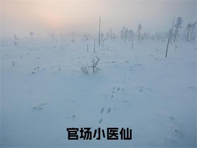 史可骏全文免费阅读无弹窗,官场小医仙小说最新章节列表无删减_笔趣阁