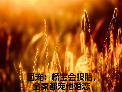 团宠：桥宝会投胎，全家都宠他（程桥宝）全文免费阅读无弹窗大结局_(程桥宝小说免费阅读)_笔趣阁