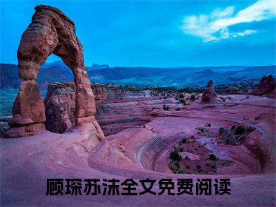 顾琛苏沫免费阅读（顾琛苏沫）全文免费阅读无弹窗大结局_顾琛苏沫免费阅读最新章节列表_笔趣阁（顾琛苏沫）